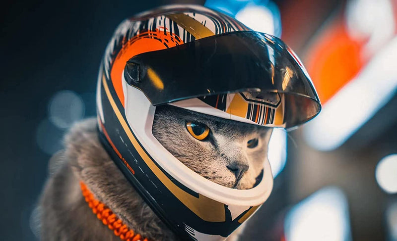 Capacete para pets