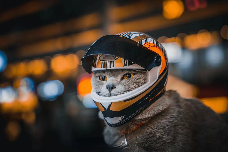 Capacete para pets