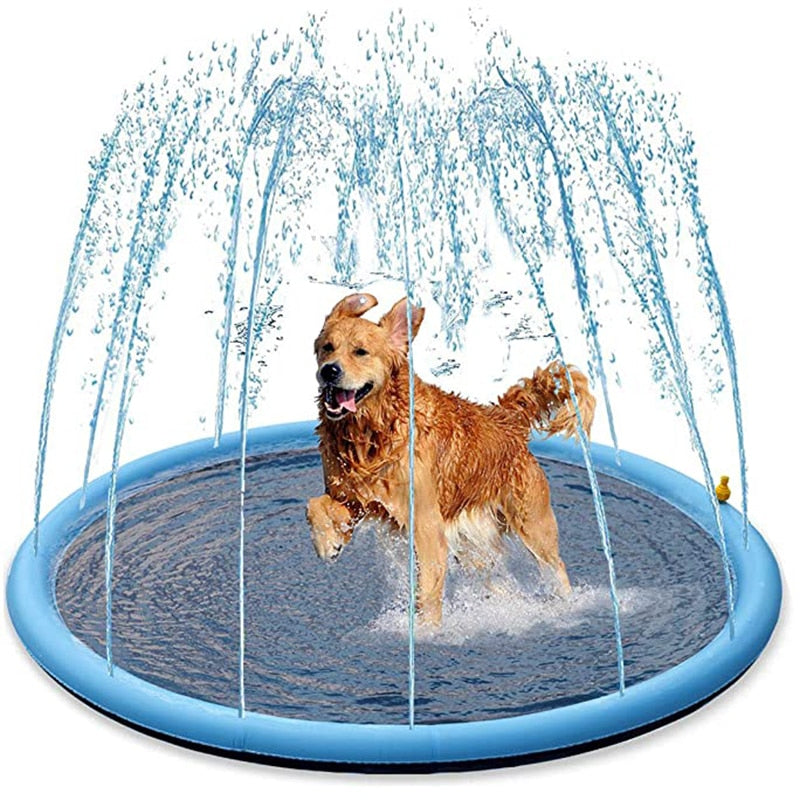 Piscina inflável para pets